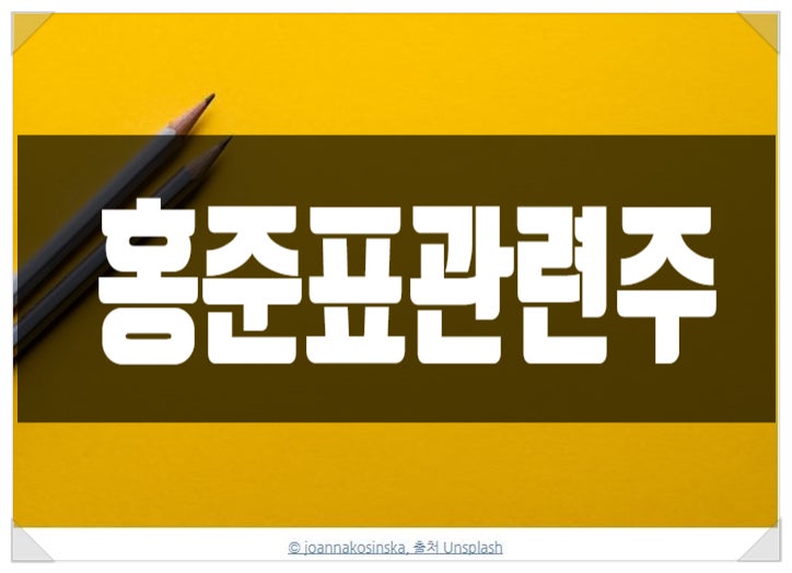 홍준표 관련주 조기대선 기대감에 변동성 확대