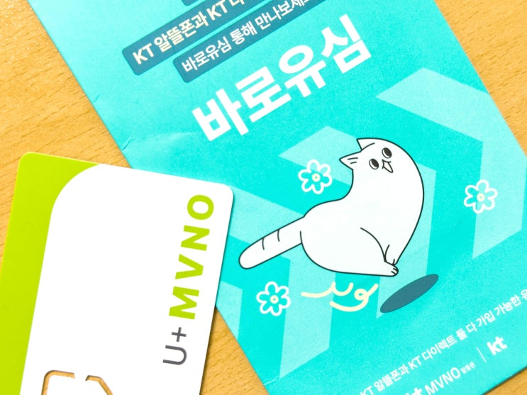  선불폰 미납 10분 개통 가이드