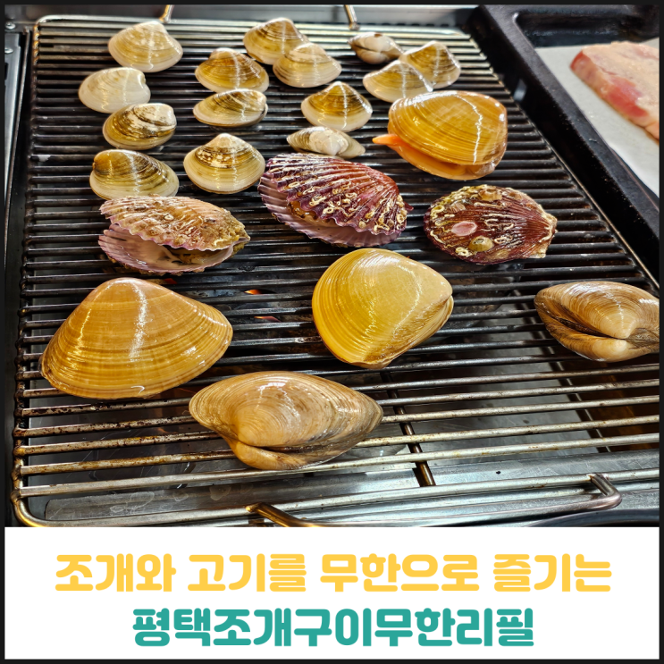 조개구이와 고기까지 무한리필로 맛볼 수 있는 평택조개구이무한리필 후기 조개구이와 고기까지 무한리필로 맛볼 수 있는 평택조개구이무한리필 후기