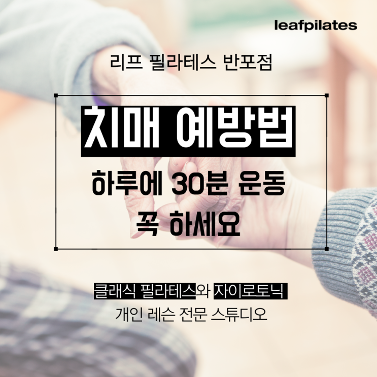  [서래마을 필라테스] 치매 예방하고 싶다면 꼭 해야하는 것!/ 반포 필라테스 리프