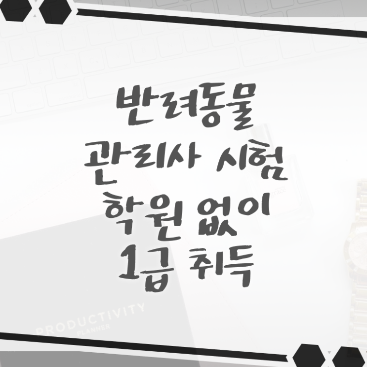  반려동물관리사 학원 , 반려동물관리사 자격증 직장인도 쉽게 합격정보 확인해봅시다