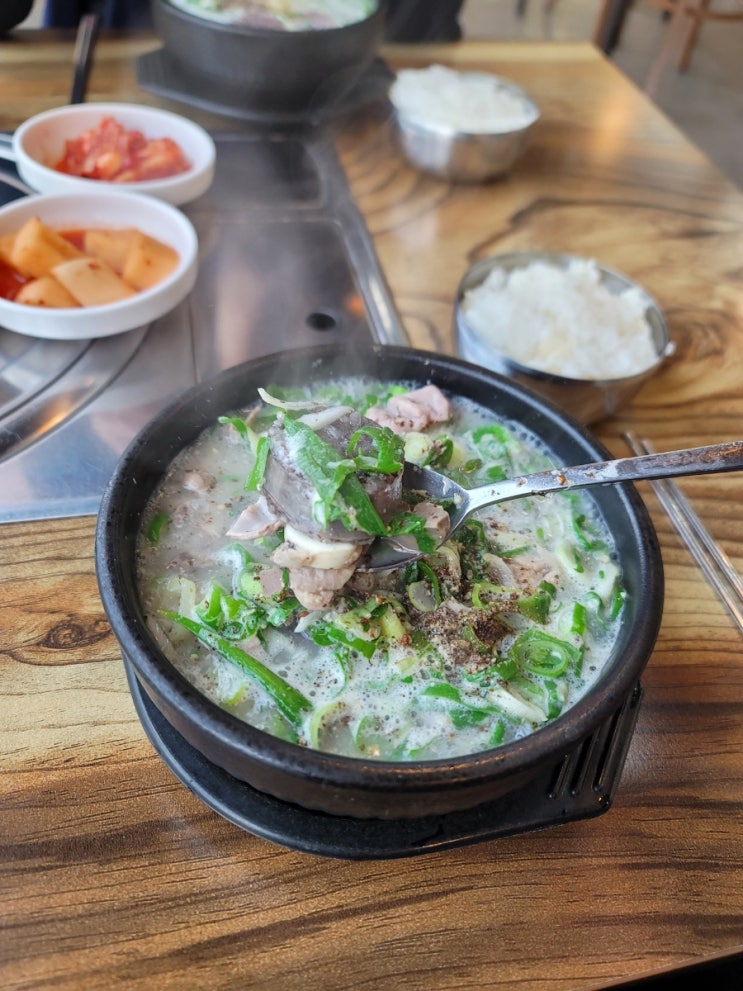  제주시 순대국밥 드디어 찾은 맛집 진영식당
