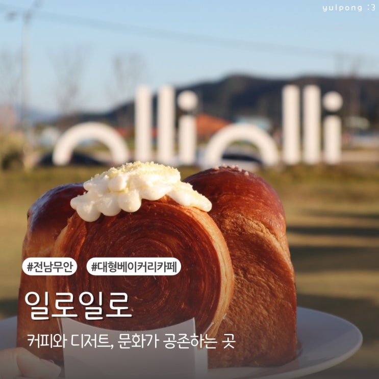  무안카페 일로일로 목포근교 대형카페에서 힐링하는 하루