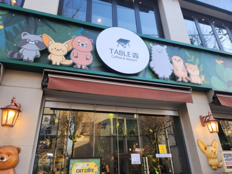  서울 홍대입구 색다른 동물체험카페 테이블에이 실내동물원