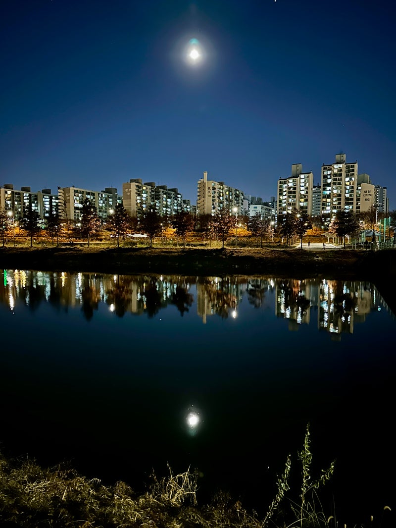 정책지식 2024.12.16. : 네이버 블로그