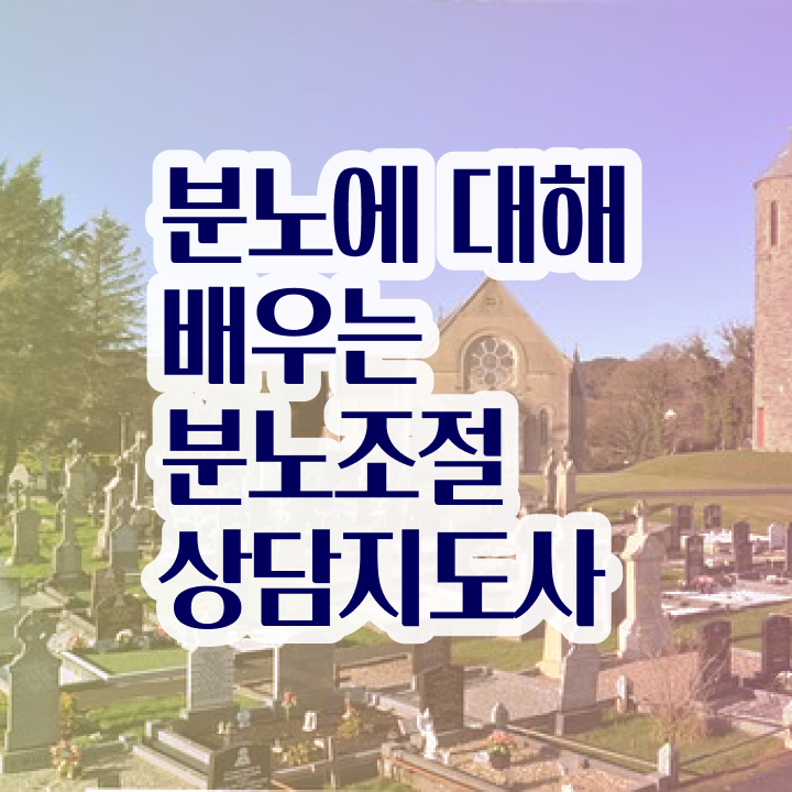  단기간자격증추천 , 분노조절상담지도사 관련학과 졸업장, 경력없어도 인강만으로 쉽게 완료한 과정