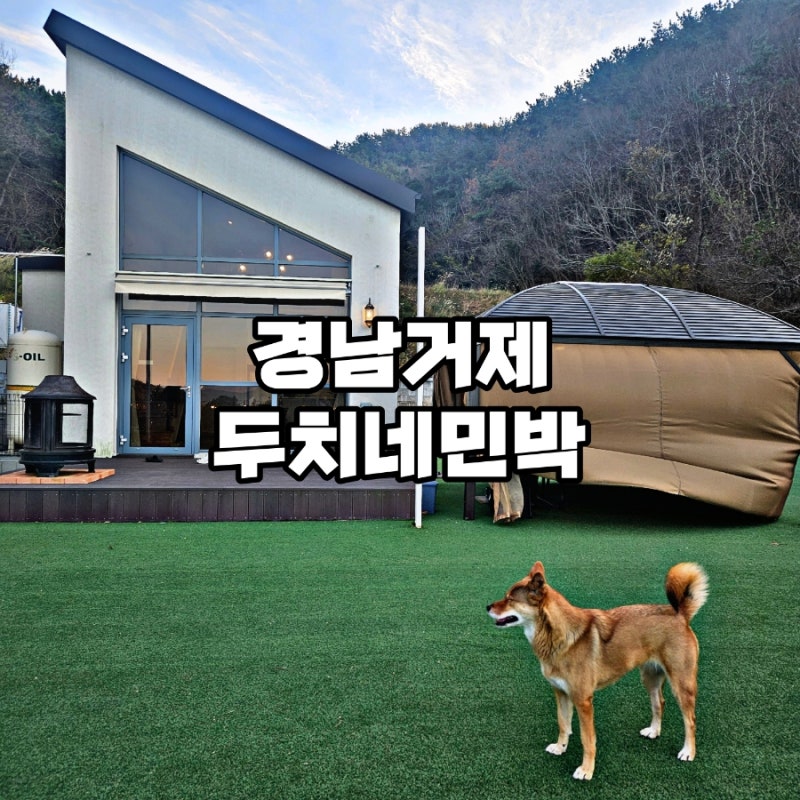 사진 10