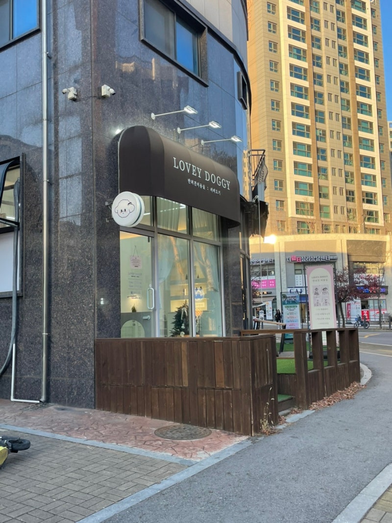 러비도기 반려견미용실