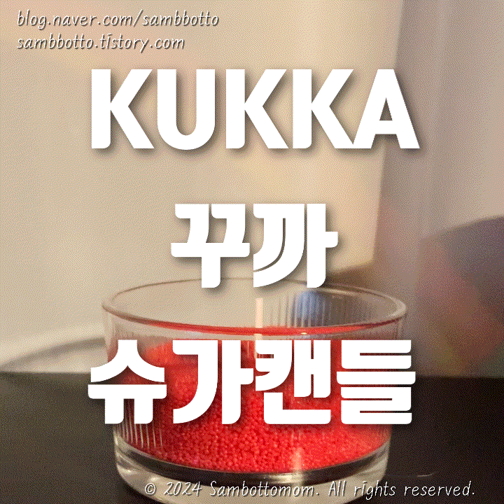  진짜 그냥 일기 | 고기 굽는 직장인의 점심시간, 꾸까 슈가캔들 언박싱