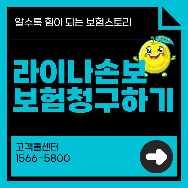 라이나손보 보험금청구