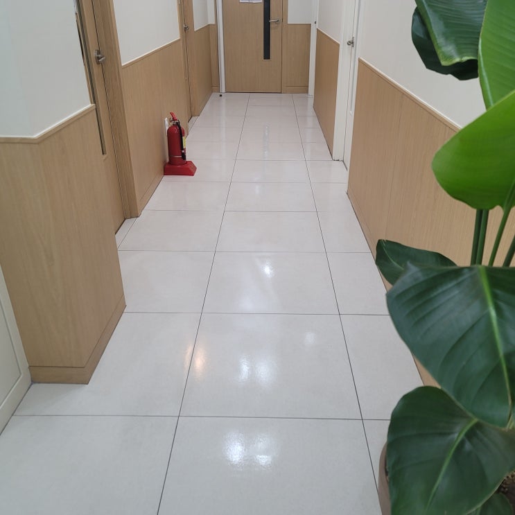  강남구 대치동 학원청소, 청소 주기와 관리방법