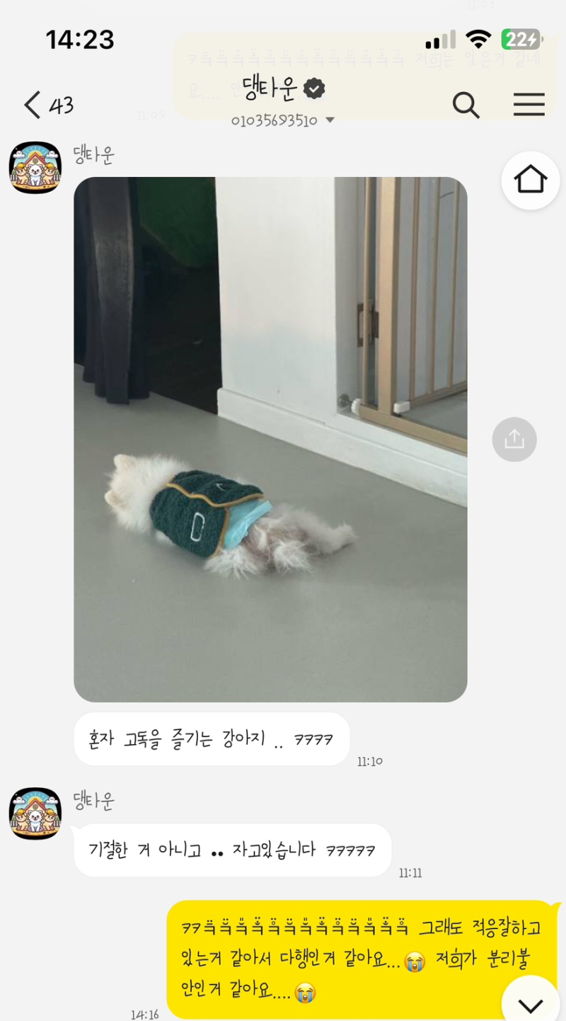 사진 4