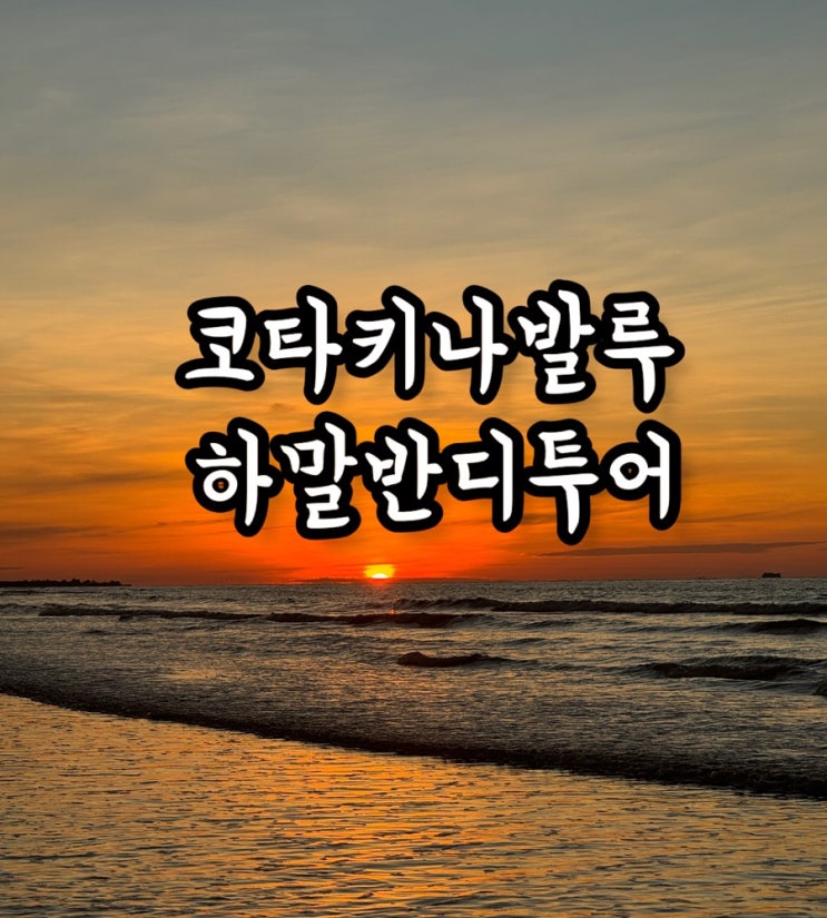  코타키나발루 반딧불투어 하말반디투어 맹그로브숲 디나완해변 다녀왔어요