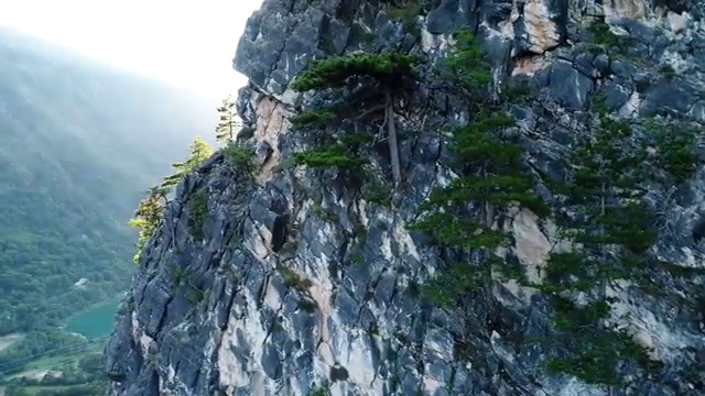  , 응시자격 없이 부동산권리분석사 합격한 팁