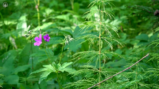  노인통합관리지도사 취업 , 노인통합관리지도사 자격증 취득한 과정 제가 알려드릴게요
