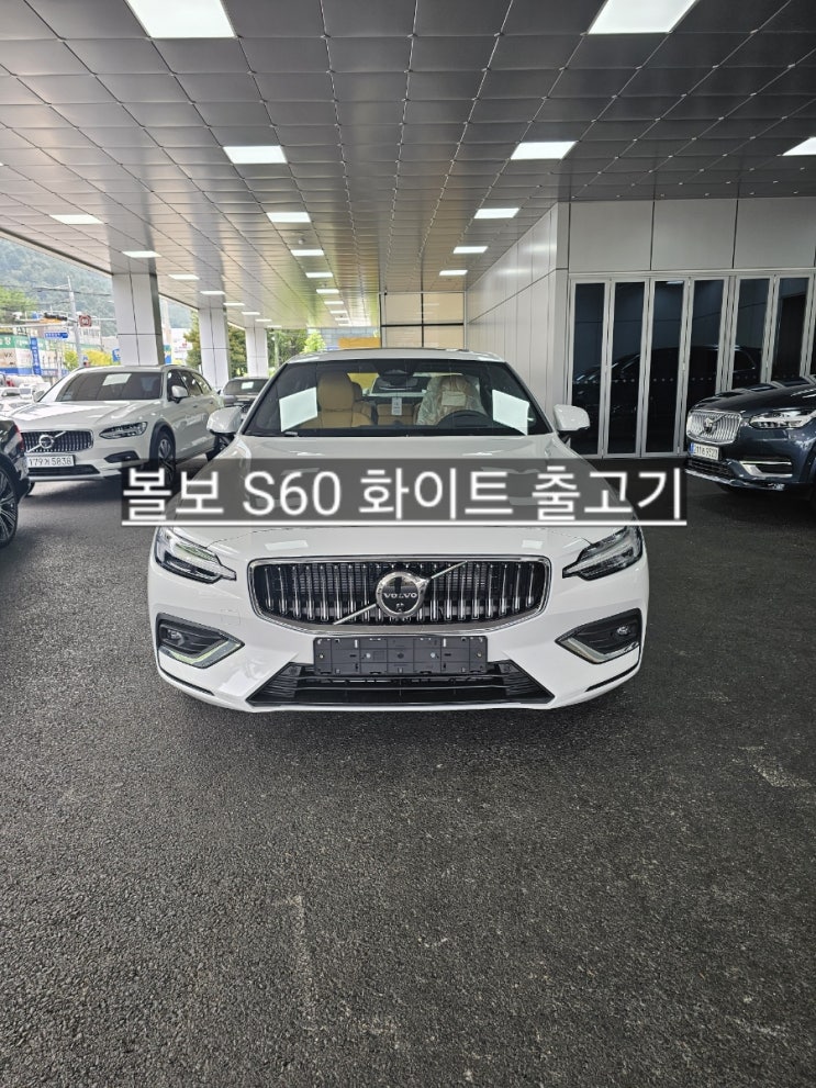  창원 볼보 전시장 S60 화이트 출고기 볼보 창원 이재훈 대리