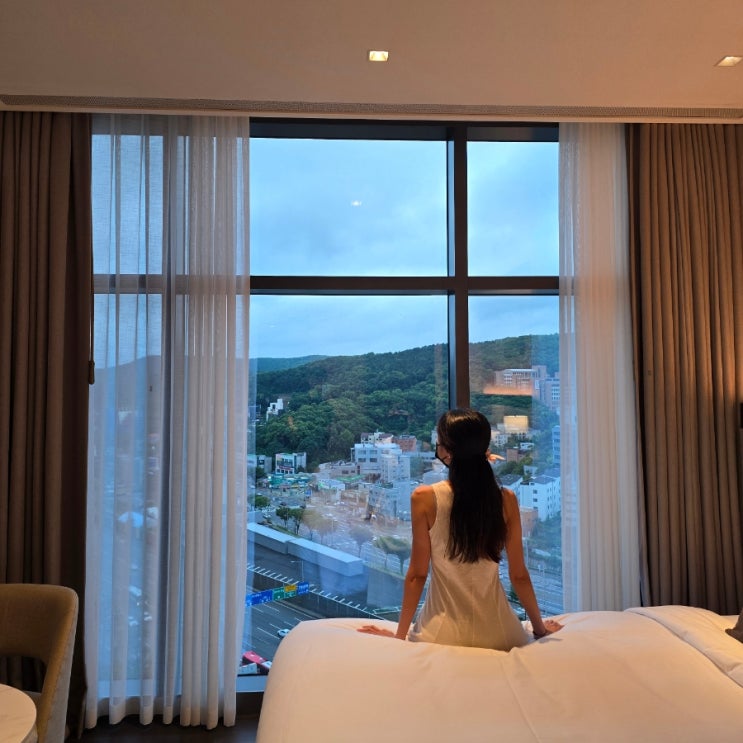  더블트리바이힐튼 판교 수영장 조식 경기도 호캉스 판교 호텔 추천