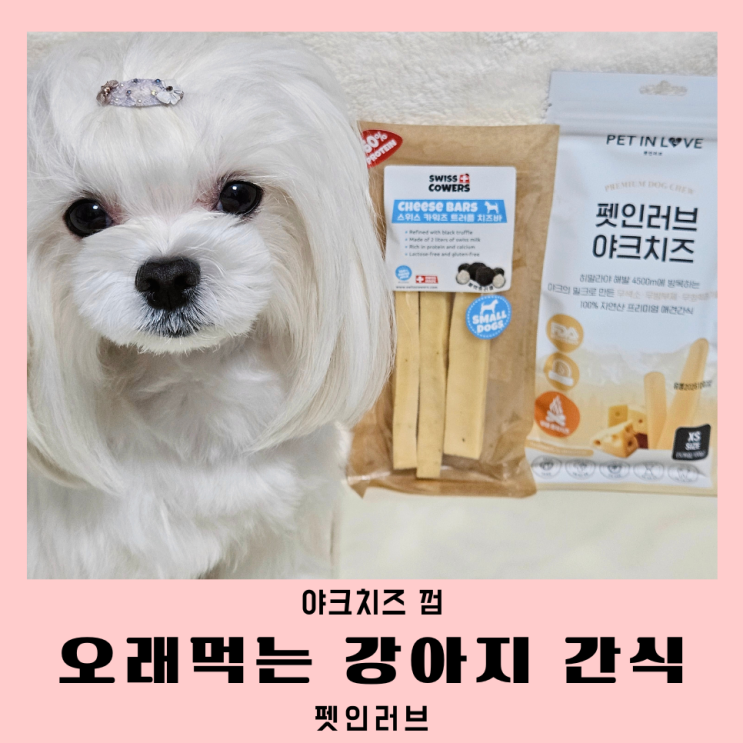  강아지 치즈 간식 오래먹는 펫인러브 스위스카워즈 야크치즈 먹는 방법