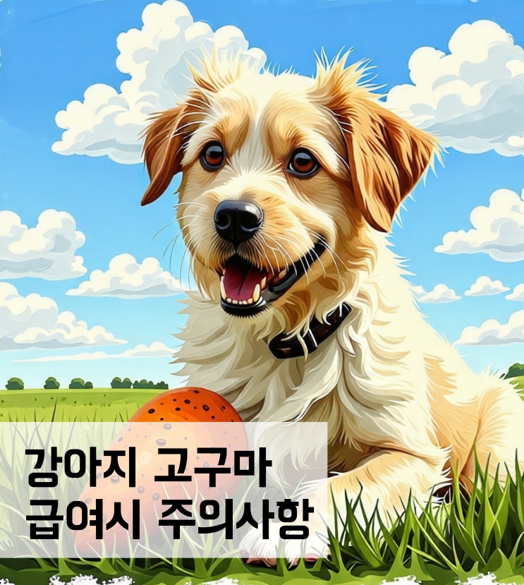  강아지 고구마 급여시 주의사항과 주는방법