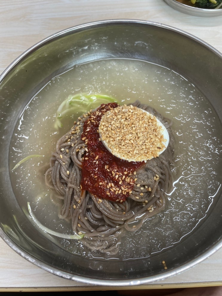  원주 흥업 최애 막국수 맛집 대추나무막국수