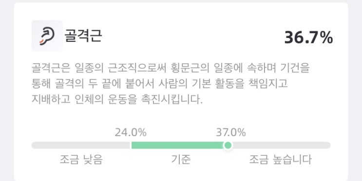  [일상] 책을 넘기는 듯한 마음으로