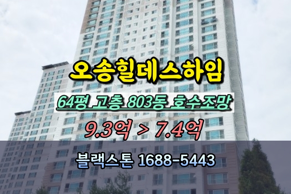  오송힐데스하임 경매 64평 고층 803동 호수조망