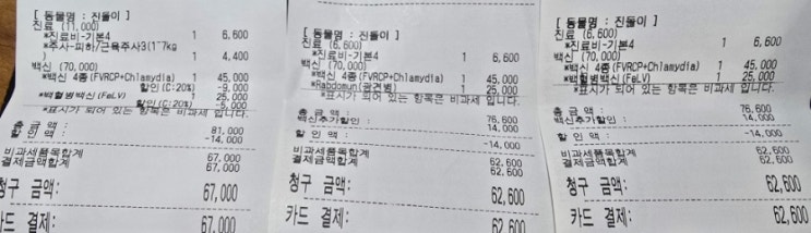 용인 더봄동물병원 고양이 1차 2차 3차 종합백신 4종 접종비용