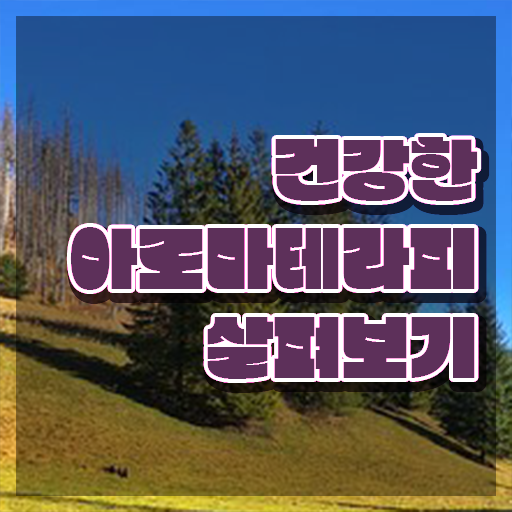 아로마뷰티diy지도사 온라인 교육 , 아로마뷰티DIY지도사 자격증 비용없이 온라인으로 합격한 전략 및 취업정보