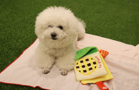 사진 6