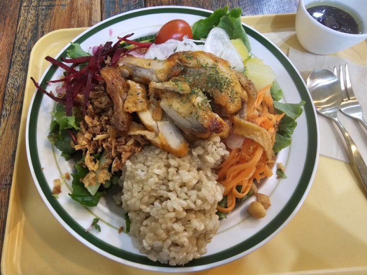  [제주/노형] 제주 노형동 샐러드 맛집 폴라니포케