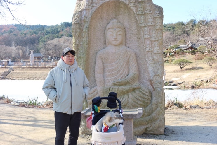  남양주 강아지와 갈 수 있는 절 봉선사 주차장 주차비 있음