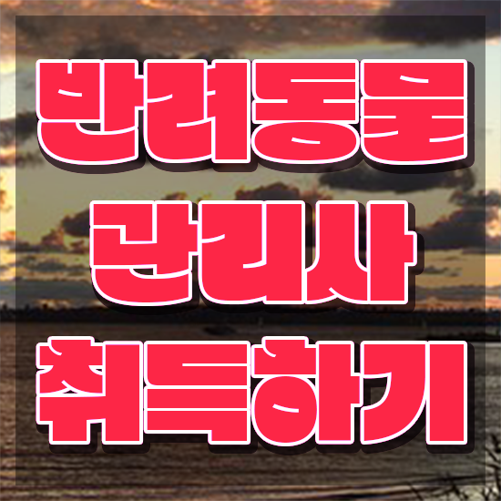  반려동물목욕관리사 , 반려동물관리사 자격증 독학으로 합격한 후기 추천합니다