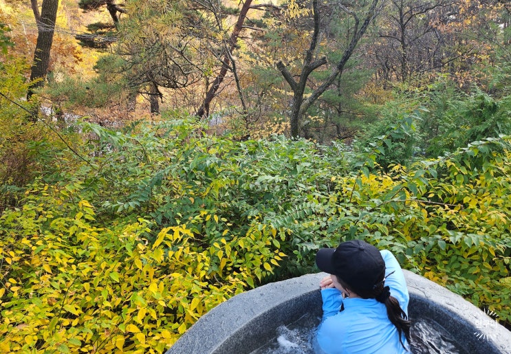  포레스트 리솜 해브나인 스파 복장, 할인, 스톤스파 후기