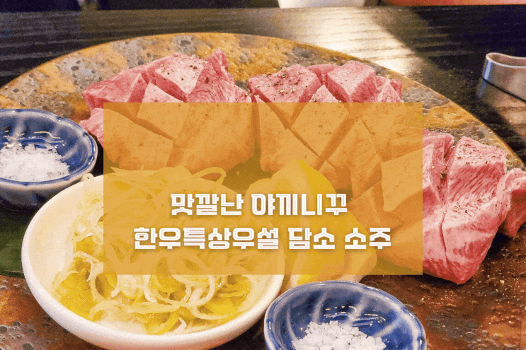  [동탄 류마] 맛깔난 야끼니꾸 & 한특상우설 담소 소주