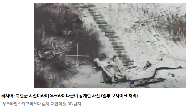 美 "<b>북한군</b> 최전선에 투입돼 상당한 피해…<b>사상자</b> 수십명"