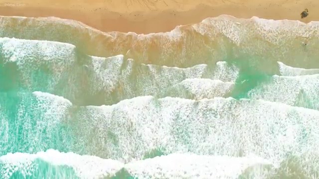  플로리스트 전망 , 플로리스트 자격증 20일 만에 준비한 방법 정리했어요