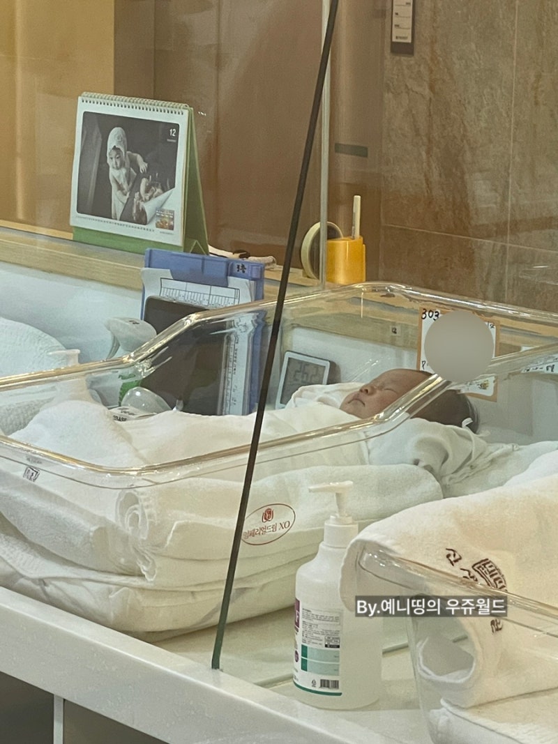 삼성 트리니티 산후조리원 3주간의 여정 (식사, 마사지, 신생아 케어, 모유 수유, 교육, 조동....