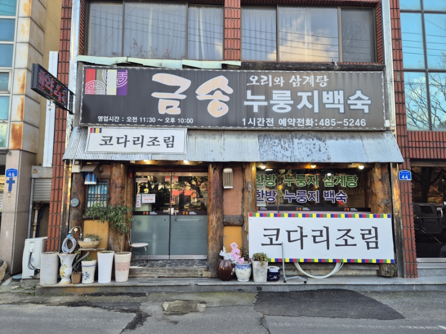 금송오리와삼계탕 사진 7