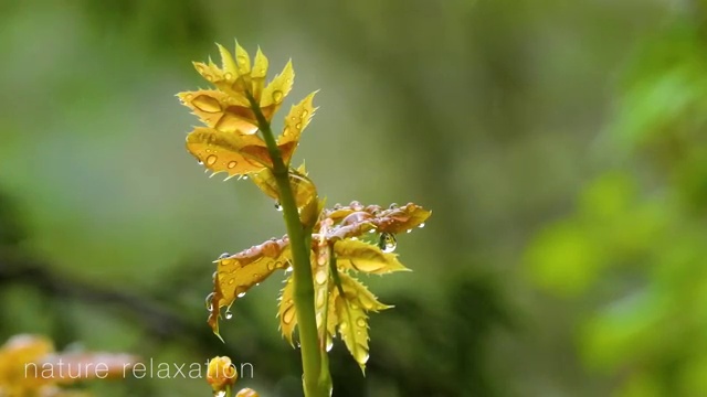  남양주시 와부읍,조안면,진건읍 정수기렌탈 직수 얼음정수기 최저가보장 구매 방법 꿀팁 공유