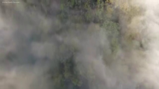  병원코디네이터 자격증 유효기간 , 병원코디네이터 자격증 취득한 정보 확인해보세요