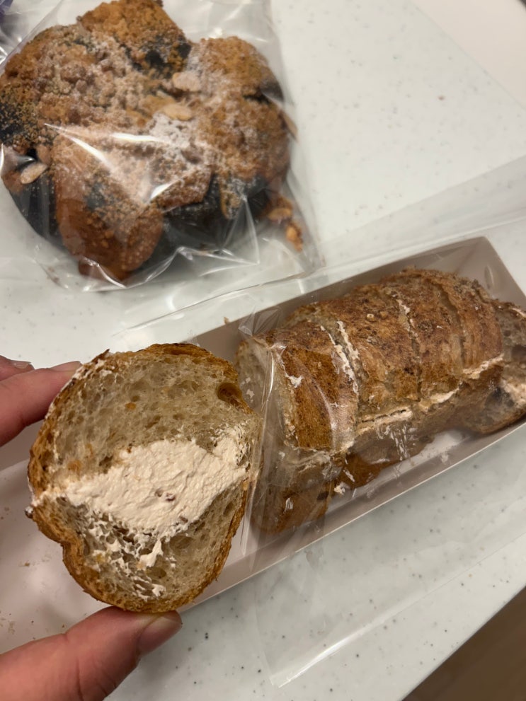  전농동에 등장한 쫄깃하고 촉촉한 빵 맛집 <패밀리베이커리>