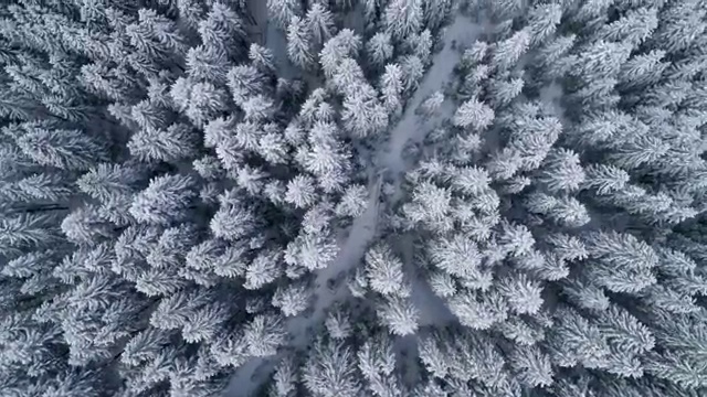  수산물 품질관리사 자격증 , 손쉽게 완료한 방법