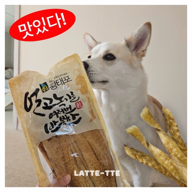  강아지 황태채, 황태 간식 만들기 (+황태가루)