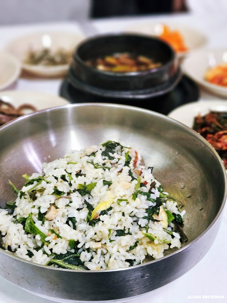  정선시장 올동박 곤드레밥 맛집
