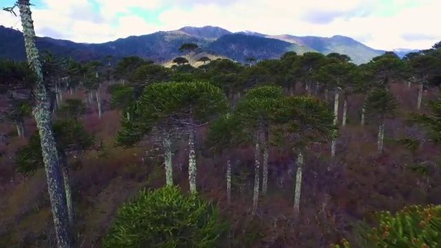  강남구 논현동, 개포동, 역삼동 정수기렌탈 커피얼음정수기 최저가보장 렌탈 리뷰 사은품도 대박 :)