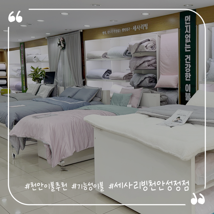  천안이불추천 기능성이불 세사리빙천안성정점