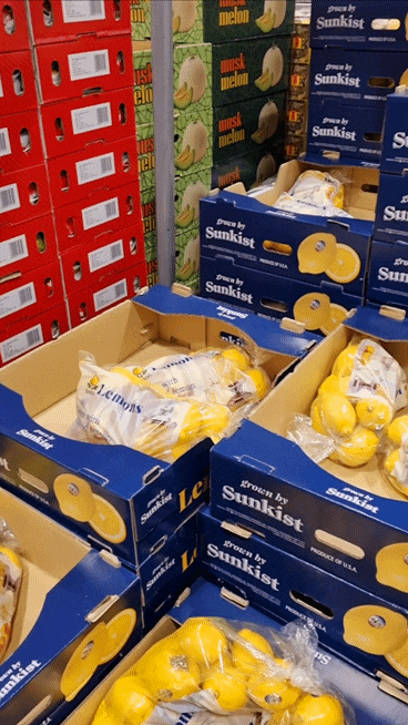  코스트코 레몬 썬키스트 Costco Lemon Sunkist