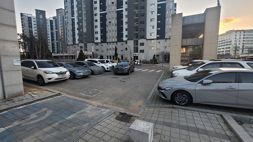 피자쏭 사진 2