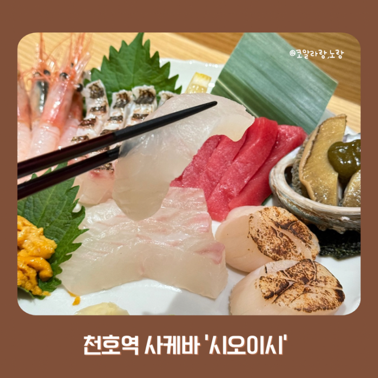  천호역 일식 맛집 모임 하기 좋은 조용한 사케바 시오이시