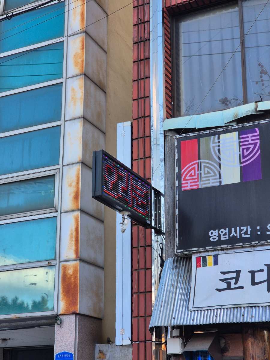 금송오리와삼계탕 사진 4